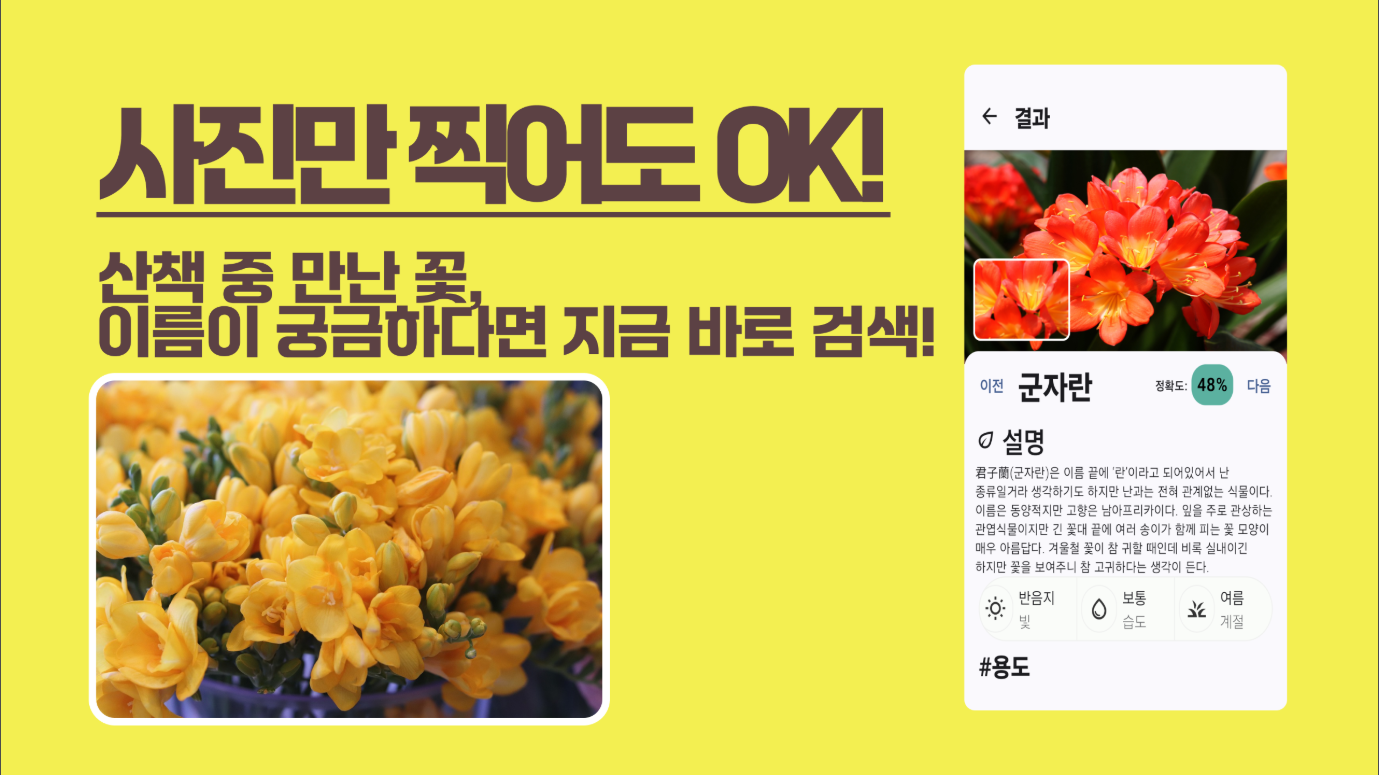 꽃 이름 찾기 어플, 핸드폰으로 꽃을 찍어 AI가 사진으로 꽃 이름 식별