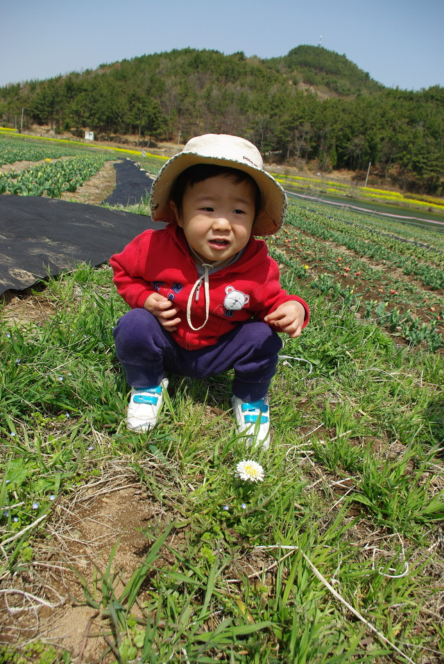 민들레 잎에 앉아있는 아이