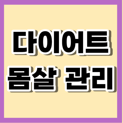 다이어트 몸살관리