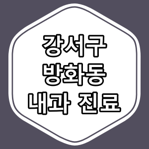서울시 강서구 방화동 내과 전문의 진료 하는 동네 병원
