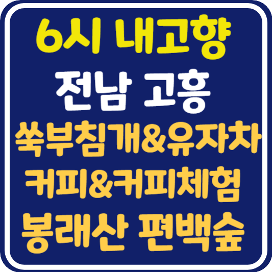 6시 내고향 고흥 쑥부침깨&유자차, 국내산 커피&커피체험, 봉래산 편백숲 위치 및 정보