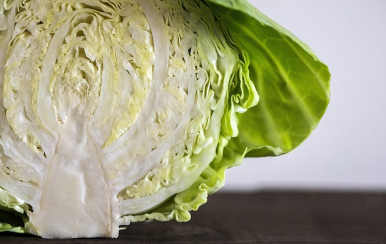 신장에 좋은 음식