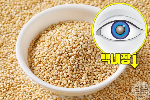 백내장 좋은 음식 백내장음식 통곡물