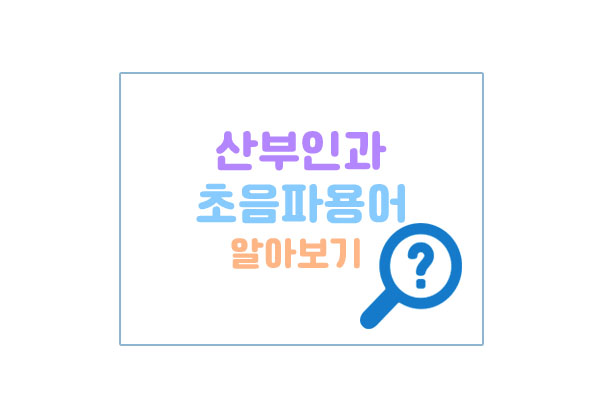 산부인과초음파용어대표이미지