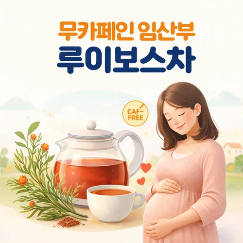 무카페인 임산부 루이보스차