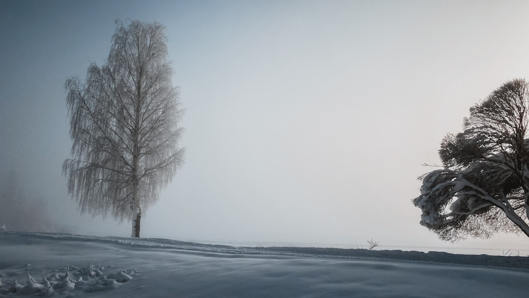 Solitude