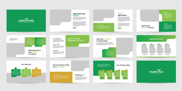 컬러 조합 & 배경 디자인