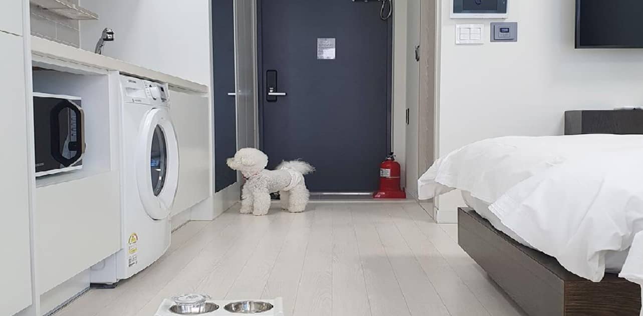 월드스카이호텔-객실-내부-시설