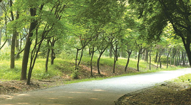 서울의 숲