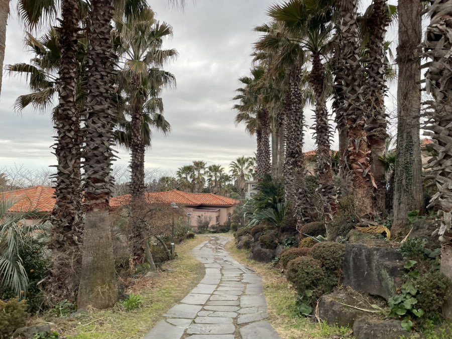 제주도 숙소 추천