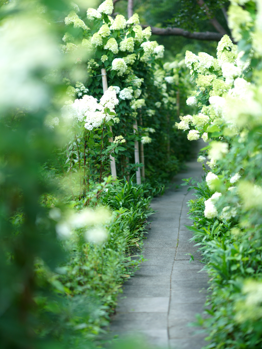 특색있고 아름다운 민간 정원 30선 추천 여행 - 22. 담양 죽화경