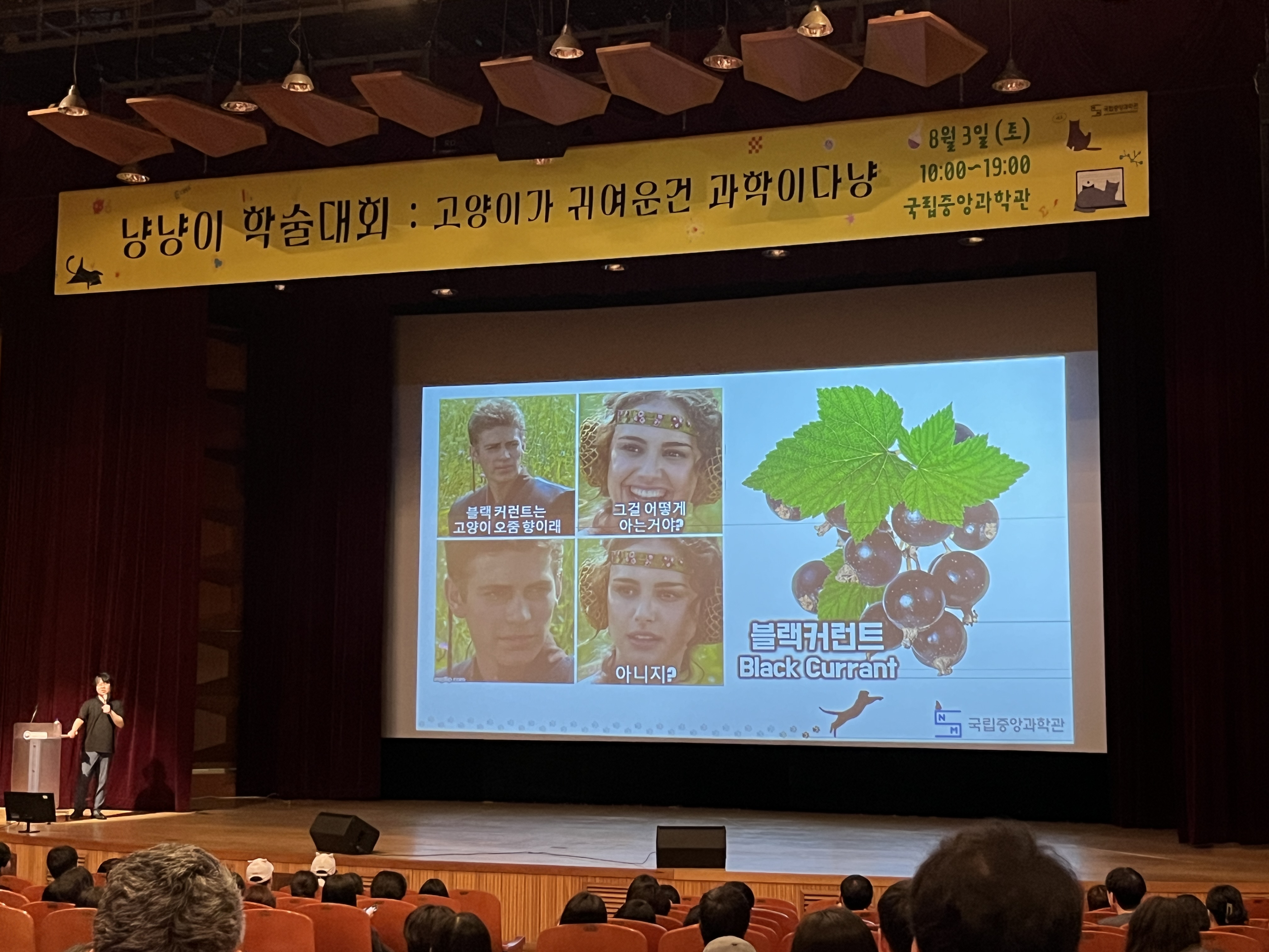 냥냥이학술대회