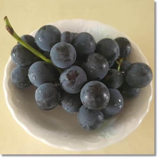 거봉 효능 및 제철, 영양성분과 주의점