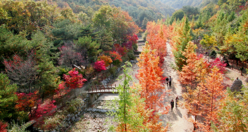 상소동 산림욕장