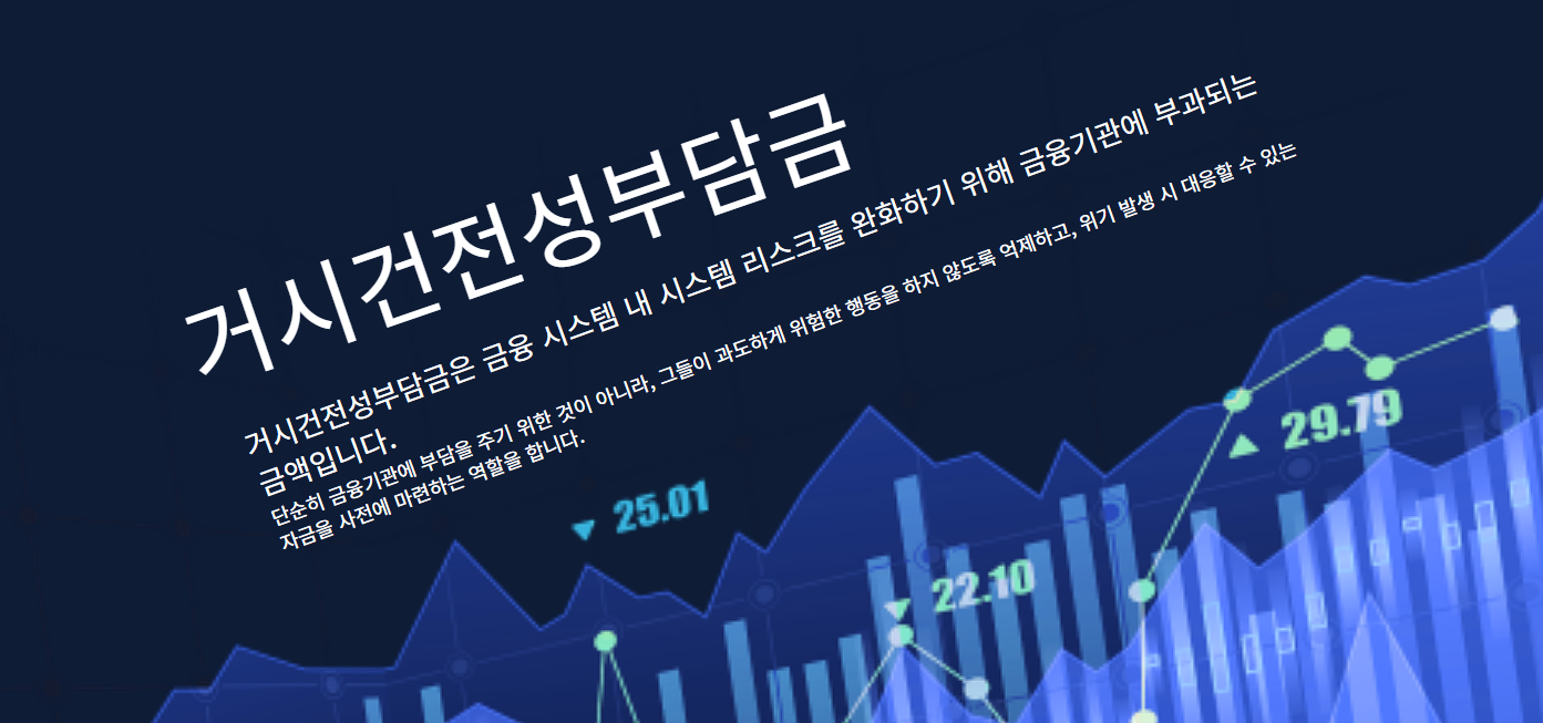 거시건전성부담금