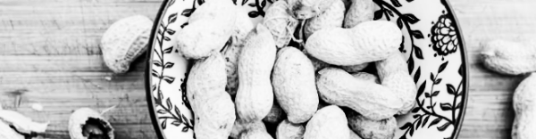 땅콩버터 보관: 적정량 섭취