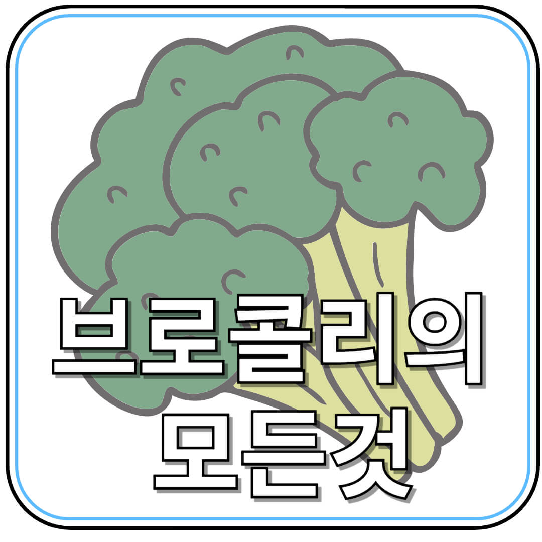 브로콜리, 항산화·항암 효과까지? 영양 정보 총정리