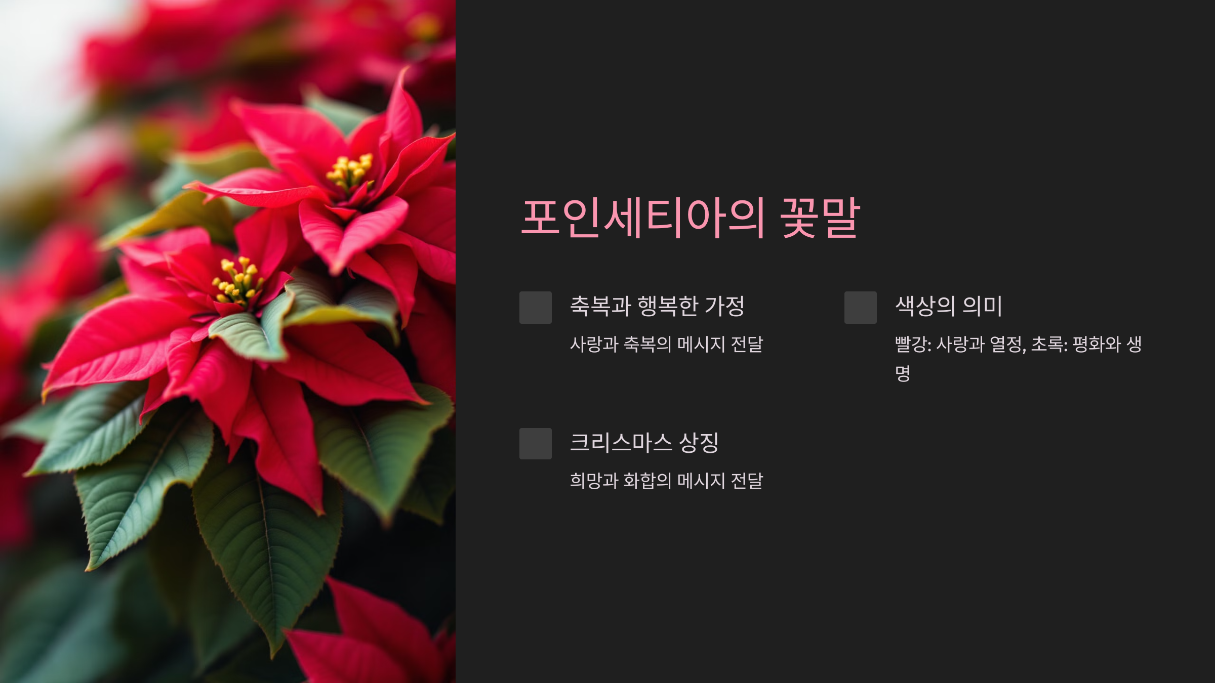 포인세티아의 꽃말