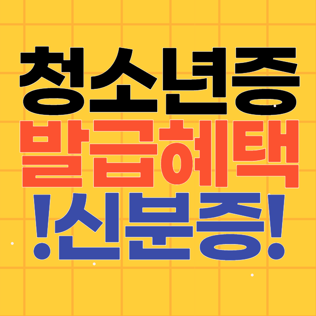 청소년증 발급 혜택! 초등학교 3학년부터 가능