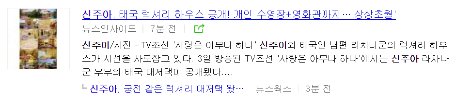 신주아 태국 남편 집