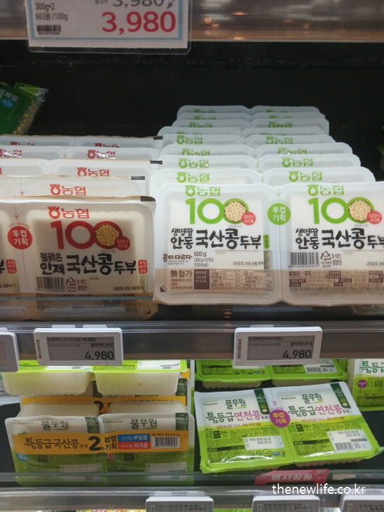 단백질 섭취를 위한 두부 진열대 – 식물성 단백질의 대표 식품