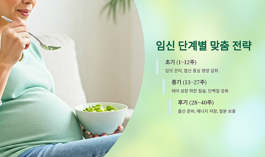 임산부 사진과 초기~후기 단계 별 식단
