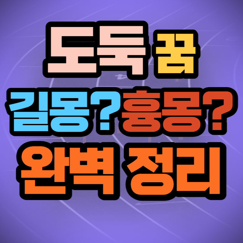 도둑 꿈 해몽 (1)