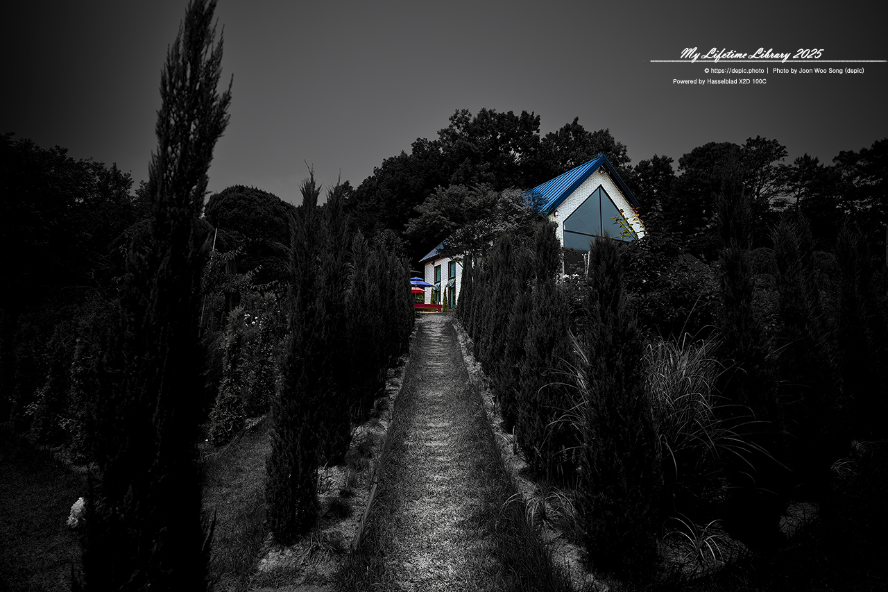 #카페 #꽃 #청주 #오창 #숲이그린정원