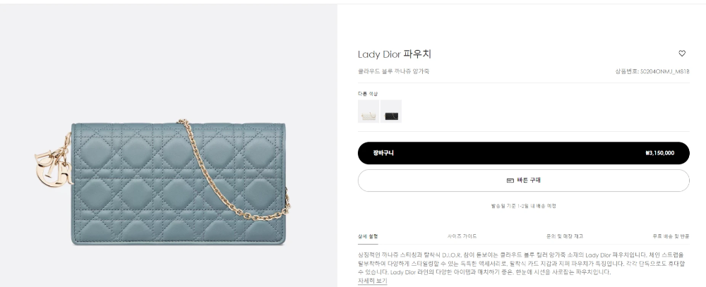 김건희 디올백 모델 LADY DIOR 파우치