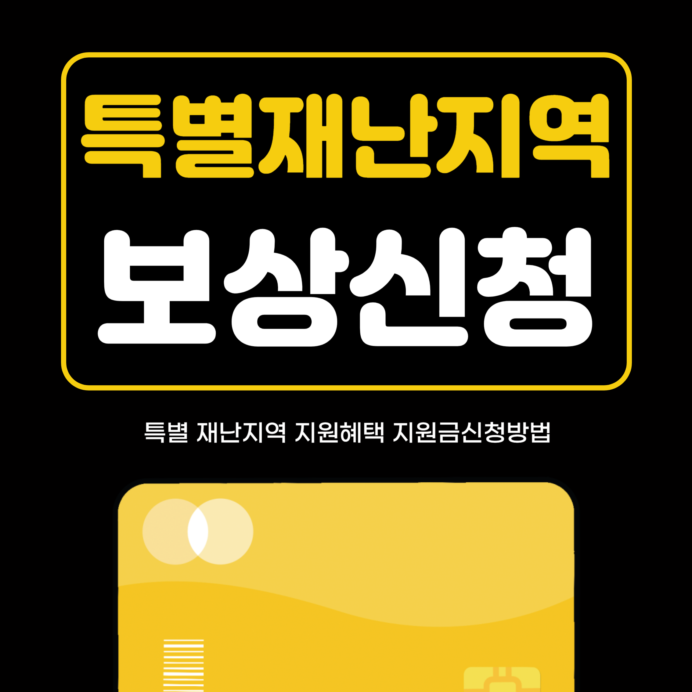 특별재난지역지원금