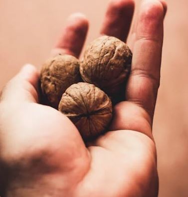 간질에 좋은 음식 10가지