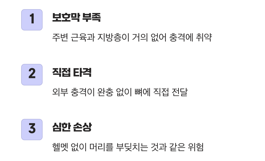 우리 몸의 마지막 역, 꼬리뼈