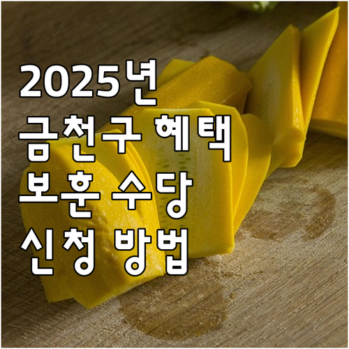 2025 금천구 보훈예우수당 지급 대..
