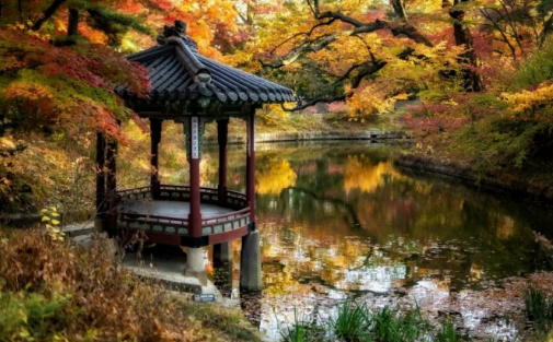 서울 고궁 이번 가을 꼭 가봐야할 BEST 4