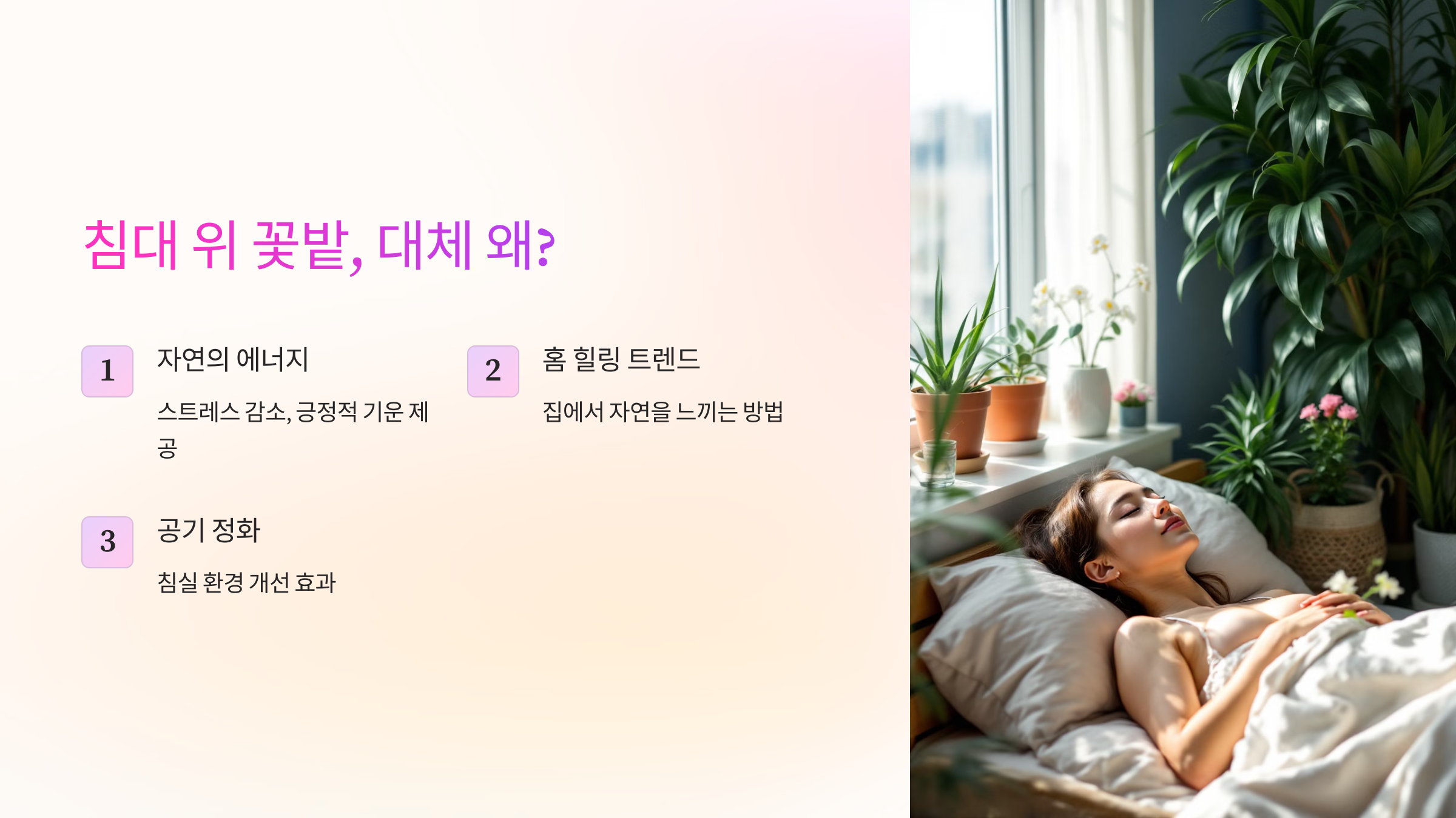 침대 위 꽃밭, 대체 왜?