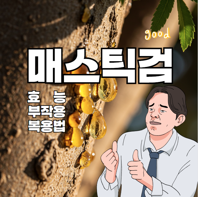 매스틱검 효능 부작용 및 복용법 완벽정리