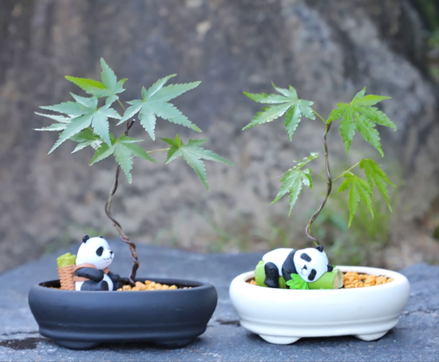 베어트리파크 단풍축제 할인&amp;#44; 맛집&amp;#44; 주차장