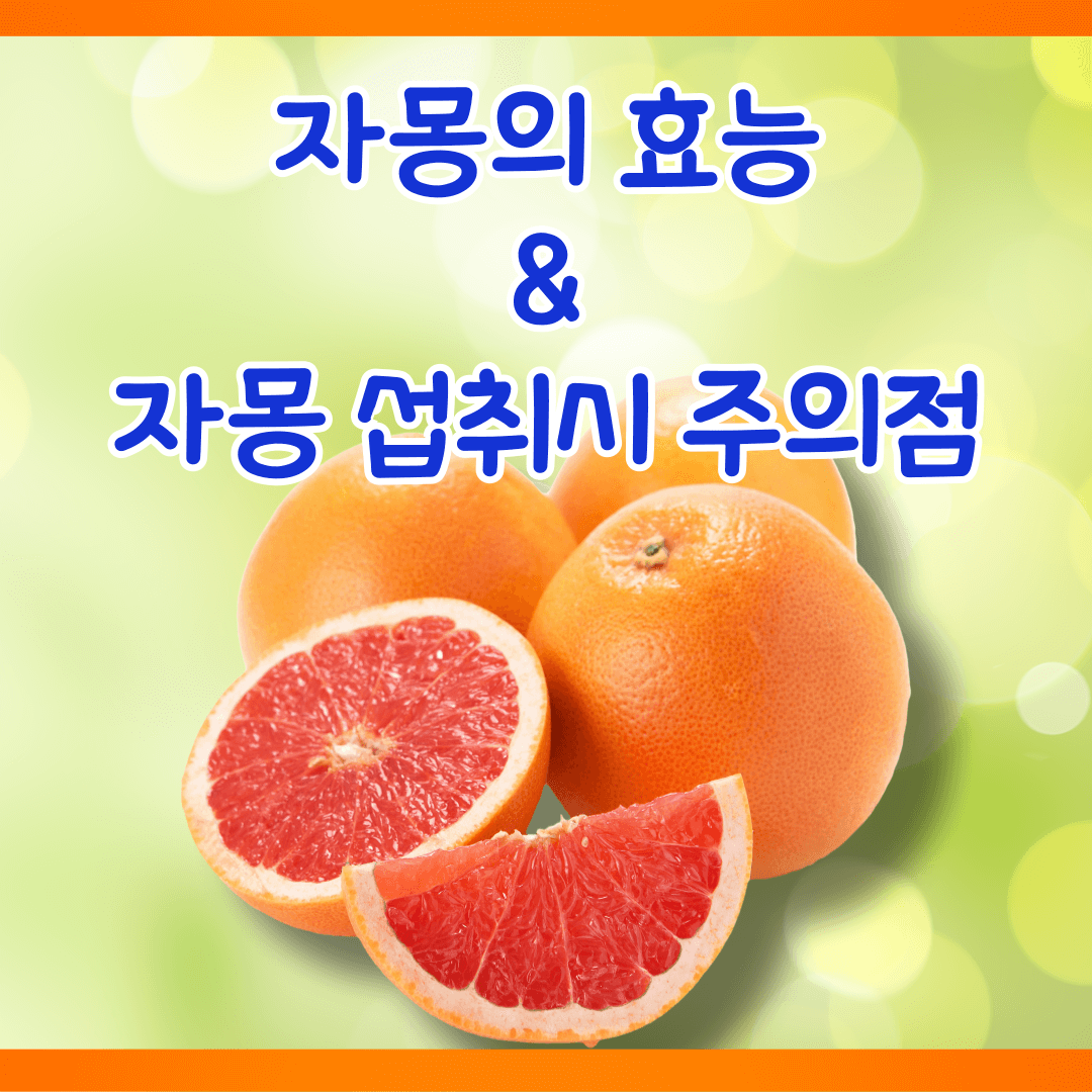 자몽 효능과 섭취시 주의할 사항