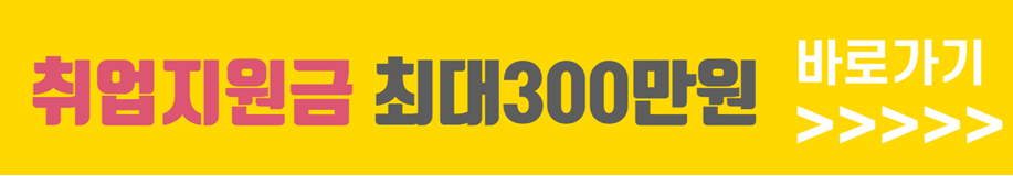 전국민 취업지원금 최대 300만원