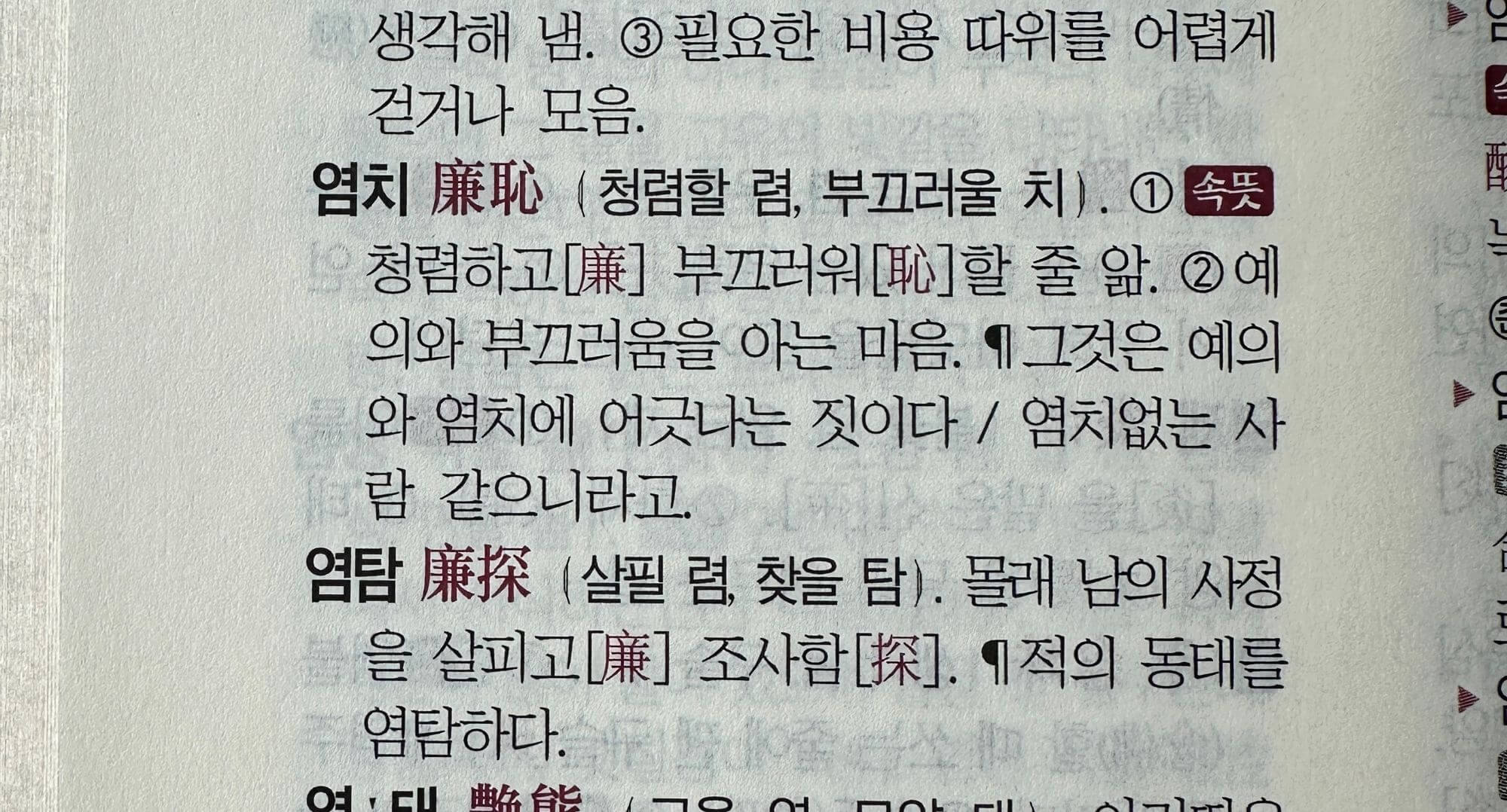 우리말-한자어-속뜻사전에-나와있는-염치의-뜻