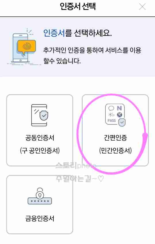 손택스