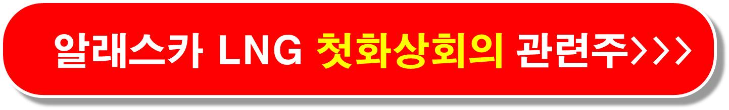 알래스카 LNG 화상회의