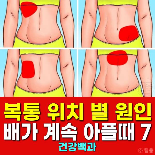 복통 위치별 원인 복통 배 위치 통증 배가 계속 아플때