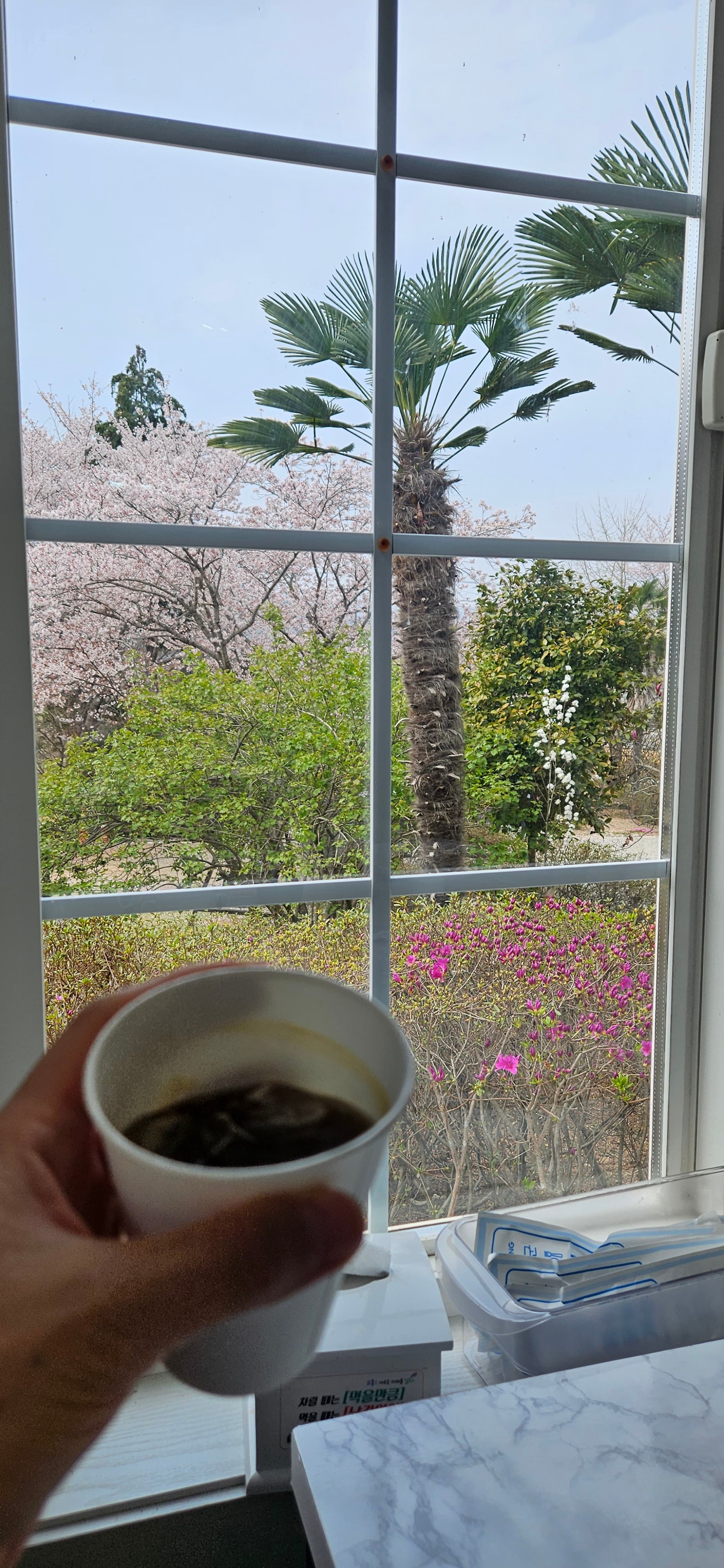 고흥 맛집_카페솔바위_흑돼지 돈까스 맛집