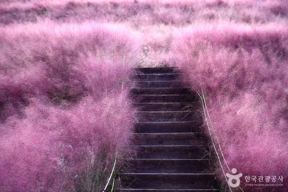 정읍사 문화공원