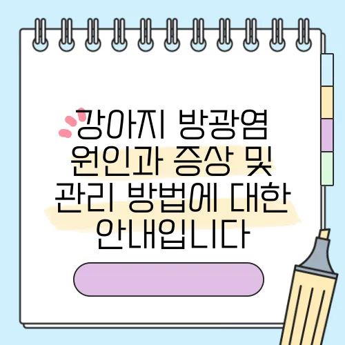 강아지 방광염 원인과 증상 및 관리 방법에 대한 안내입니다