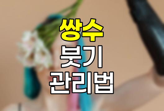 쌍수 붓기 회복 단계별 관리법