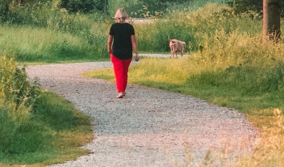 대상포진 예방법