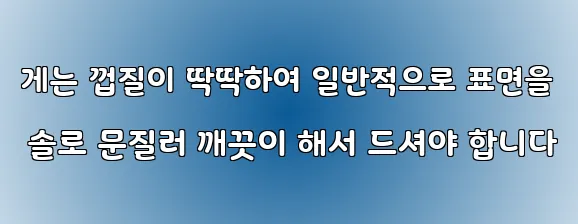 게는 껍질이 딱딱하여 일반적으로 표면을 솔로 문질러 깨끗이 해서 드셔야 합니다
