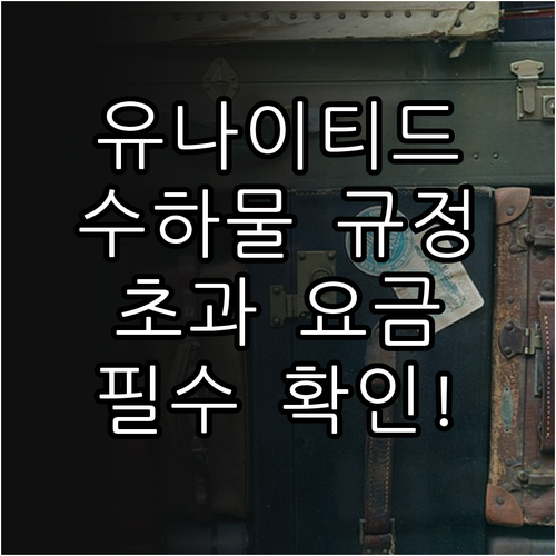 유나이티드항공 수하물 규정과 초과 요..